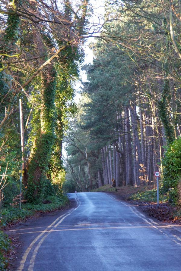 Formby Pinewood Studio Bed and Breakfast Buitenkant foto